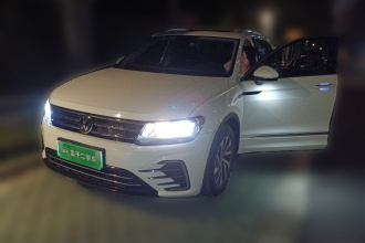 大众 途观L新能源 2020款 430PHEV 插电混动尊贵版