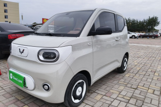 五菱汽车 宏光MINIEV 2024款 第三代 215km 青春版