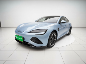 比亚迪 海豹 2023款 冠军版 550km 精英型