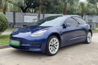 特斯拉 Model 3 2019款 标准续航后驱升级版