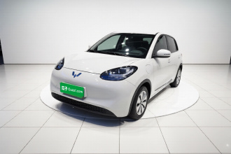 五菱汽车 五菱缤果 2023款 333km 快享款