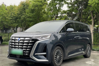 腾势D9 2022款 DM-i 1040 尊贵型