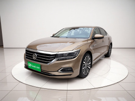 大众 帕萨特 2019款 330TSI 领尊版 国VI