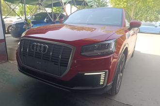 奥迪Q2L e-tron 2019款 Q2L e-tron 纯电智享型