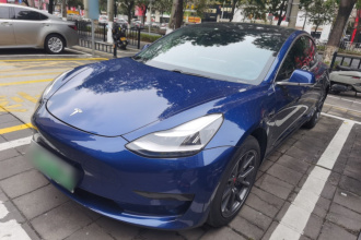 特斯拉 Model 3 2019款 标准续航后驱升级版