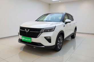 五菱汽车 五菱星辰 2022款 2.0L DHT电速款