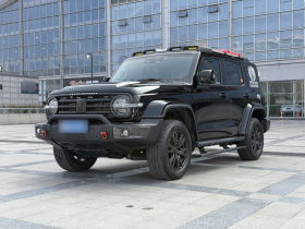 坦克300 2023款 城市版 2.0T 很有型