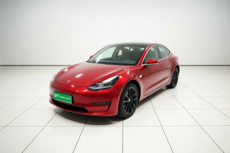 特斯拉 Model 3 2020款 标准续航后驱升级版