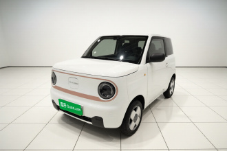 吉利银河 2024款 熊猫mini 200km 耐力熊
