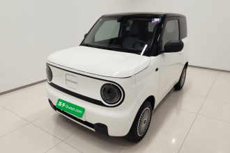 吉利银河 2023款 熊猫mini 200km 耐力熊
