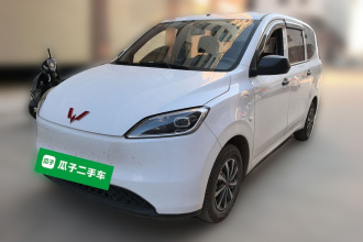 五菱汽车 五菱宏光新能源 2024款 纯电版 300KM 标准型