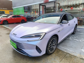 比亚迪 海豹 2024款 荣耀版 DM-i 1.5L 121km 尊贵型