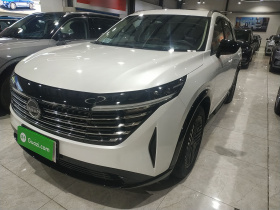 日产 探陆 2024款 380VC-TURBO 四驱智尊版 6座