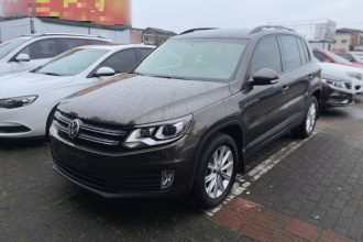 大众 途观 2016款 280TSI 自动两驱丝绸之路风尚版