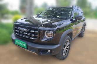哈弗大狗 2021款 1.5T DCT两驱边牧版