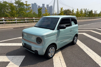 吉利银河 2024款 熊猫mini 200km 耐力熊