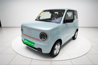 吉利银河 2024款 熊猫mini 200km 耐力熊