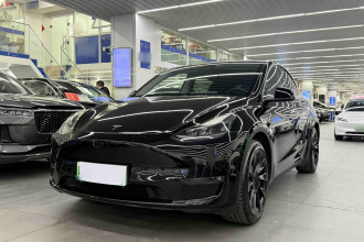 特斯拉 Model Y 2021款 标准续航后驱版