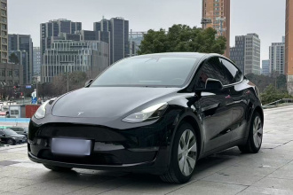 特斯拉 Model Y 2021款 长续航全轮驱动版 3D7