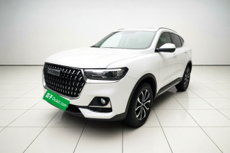 哈弗H6 2023款 国潮版 1.5T 自动都市版