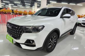 哈弗H6 2023款 国潮版 1.5T 自动都市版