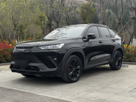 哈弗H6S 2022款 2.0T 四驱潮跑版