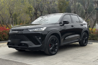 哈弗H6S 2022款 2.0T 四驱潮跑版
