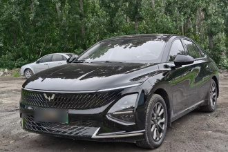 五菱汽车 五菱星光 2025款 70km 智能标准型