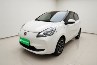 长安 奔奔E-Star 2021款 国民版 心怡版 磷酸铁锂（31.86kWh）