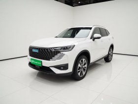 哈弗H6新能源 2023款 DHT-PHEV 110KM 悦行版