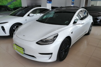 特斯拉 Model 3(进口) 2019款 标准续航后驱升级版
