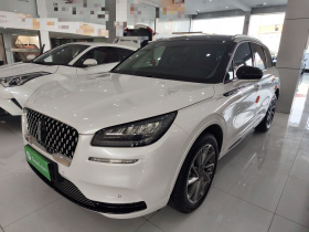 林肯 冒险家新能源 2021款 PHEV 四驱e享版