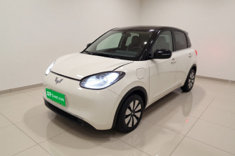 五菱汽车 五菱缤果 2024款 333km 悦享款