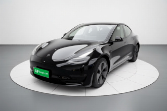 特斯拉 Model 3 2021款 标准续航后驱升级版