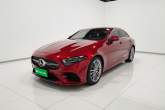 奔驰CLS 2020款 CLS 300 动感型