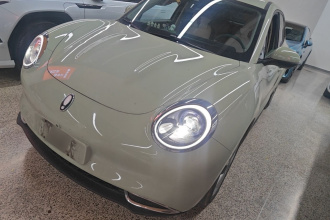 欧拉好猫 2023款 401km标准续航 豪华型 磷酸铁锂