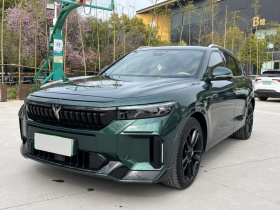 岚图汽车 岚图FREE 2024款 超长续航智驾版