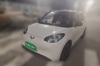 五菱汽车 五菱缤果 2023款 203km 轻享款