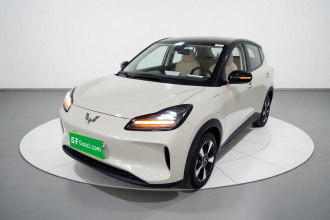 五菱汽车 五菱缤果PLUS 2024款 330km 五座版