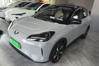 五菱汽车 五菱缤果PLUS 2024款 401km 五座版