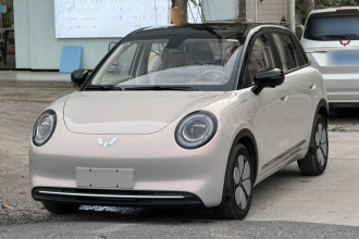 五菱汽车 缤果Pro 2026款 330km 尊享款