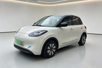 五菱汽车 五菱缤果 2023款 203km 舒享款