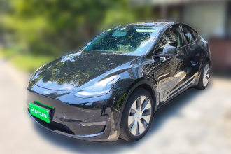 特斯拉 Model Y 2021款 长续航全轮驱动版 3D7