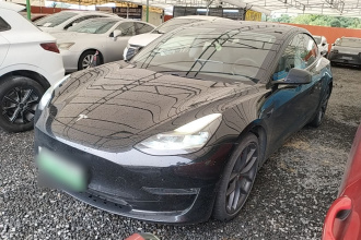 特斯拉 Model 3 2021款 Performance高性能全轮驱动版