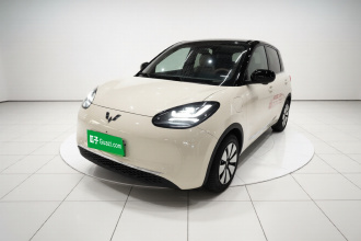 五菱汽车 五菱缤果 2025款 410km 灵犀尊享款