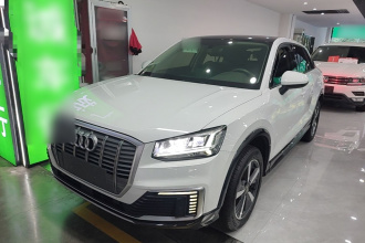 奥迪Q2L e-tron 2019款 Q2L e-tron 纯电智酷型