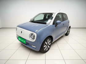 欧拉黑猫 2021款 351km 豪华型