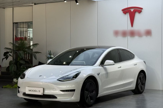 特斯拉 Model 3(进口) 2019款 标准续航后驱升级版