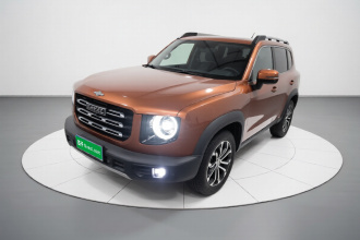 哈弗大狗 2021款 1.5T DCT两驱边牧-旺财版