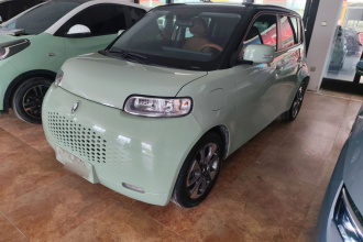 欧拉白猫 2022款 升级版 305km 豪华型 三元锂